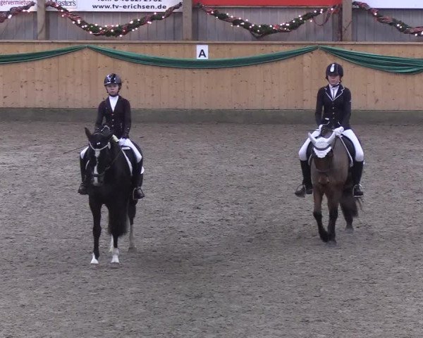 Reitturnier Leck 2019