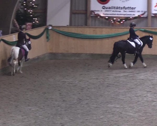 Reitturnier Leck 2019