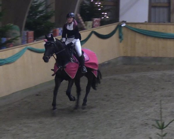 Reitturnier Leck 2019