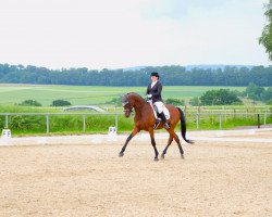 dressage horse Sir Stan 2 (Württemberger, 1996, from Stan the Man xx)