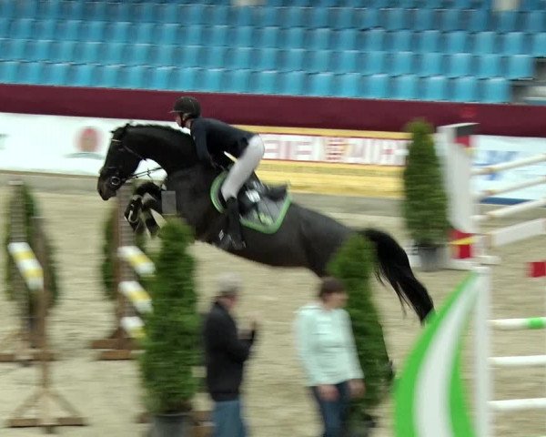 Reitturnier Neustadt/Dosse 2019