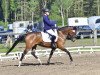 broodmare Leevke Deluxe WE (German Riding Pony, 2011, from Dance Star AT)