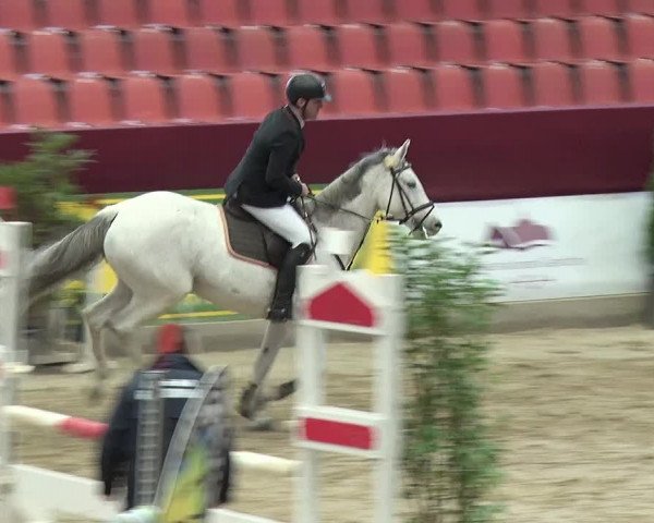 Reitturnier Neustadt/Dosse 2019