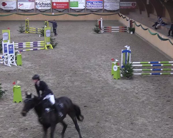 Reitturnier Leck 2019