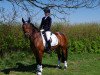 dressage horse Timms Lucky Linn (German Riding Pony, 2008, from Mandela N)