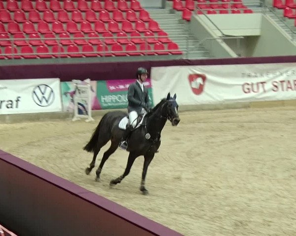 Reitturnier Neustadt/Dosse 2019