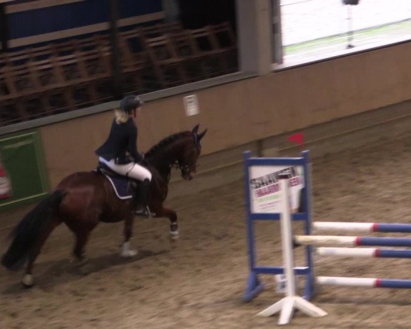 Reitturnier Oelde 2019