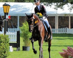 dressage horse Candela Waluka (Trakehner, 2008, from Insterburg TSF)