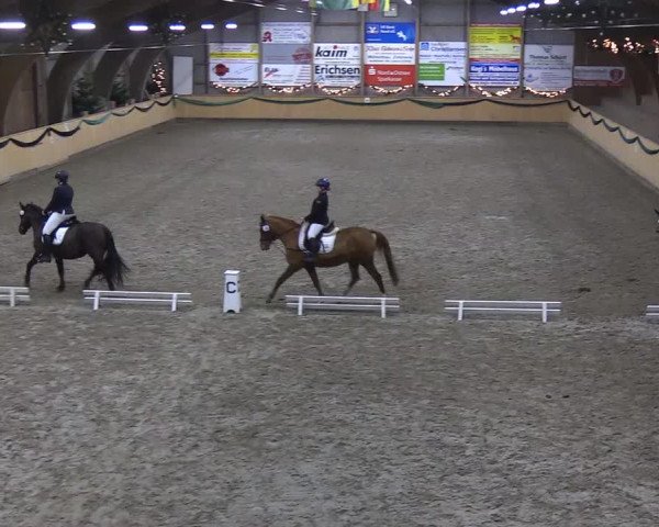 Reitturnier Leck 2019