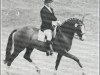 stallion Emir (Swedish Warmblood, 1968, from Gaspari)