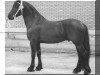 stallion Tsjomme 329 (Friese, 1990, from Peke 268)
