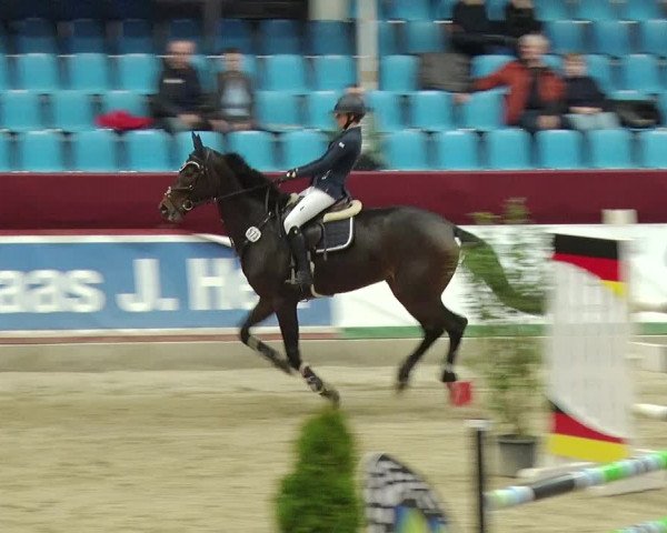 Reitturnier Neustadt/Dosse 2019