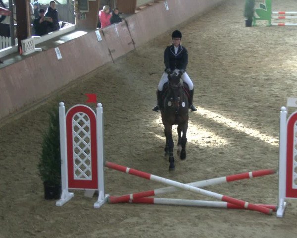 Reitturnier Bad Salzuflen 2019