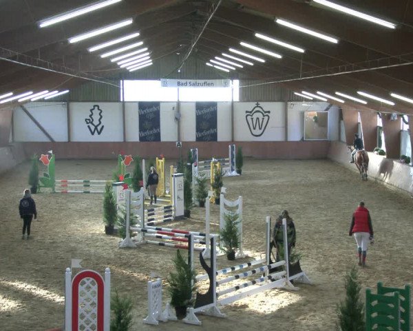 Reitturnier Bad Salzuflen 2019