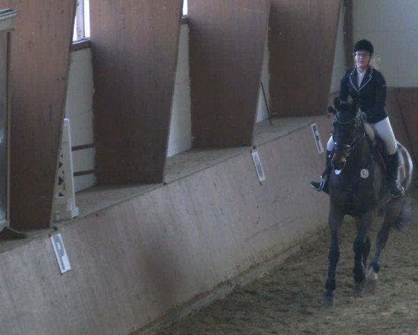 Reitturnier Bad Salzuflen 2019