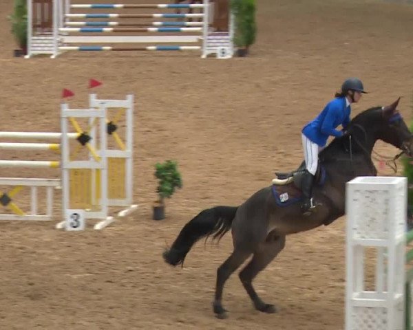 Reitturnier Kreuth/Opf. 2019