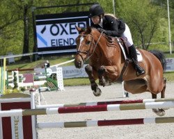 jumper Fatum (Belgian Riding Pony, 2005, from Orlando van de Heffinck)