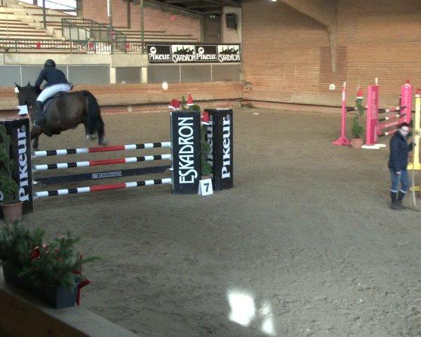 Reitturnier Paderborn 2019