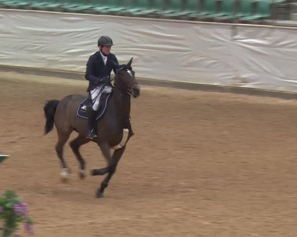 Reitturnier Kreuth/Opf. 2019