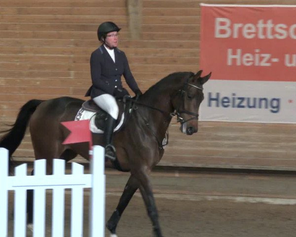 Reitturnier Paderborn 2019