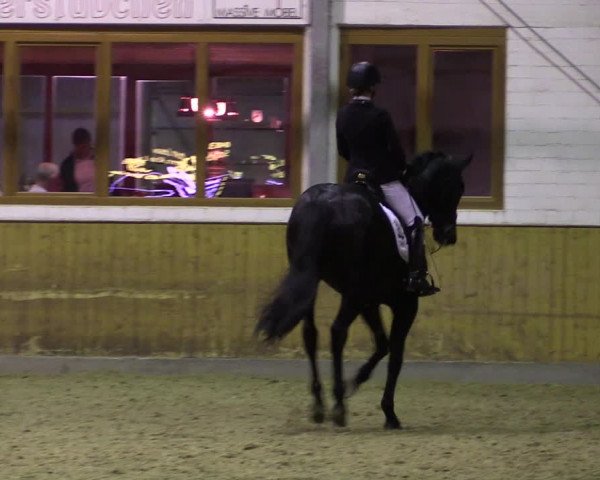Reitturnier Appelhülsen 2019