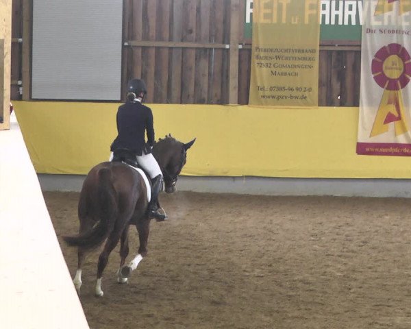 Reitturnier Ellwangen-Röhlingen 2019