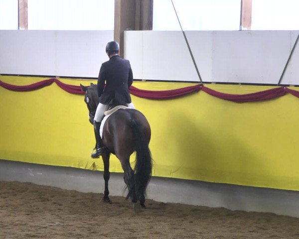 Reitturnier Ellwangen-Röhlingen 2019