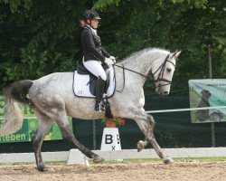 dressage horse Let It Snow (Rhinelander, 2010, from La Calido)