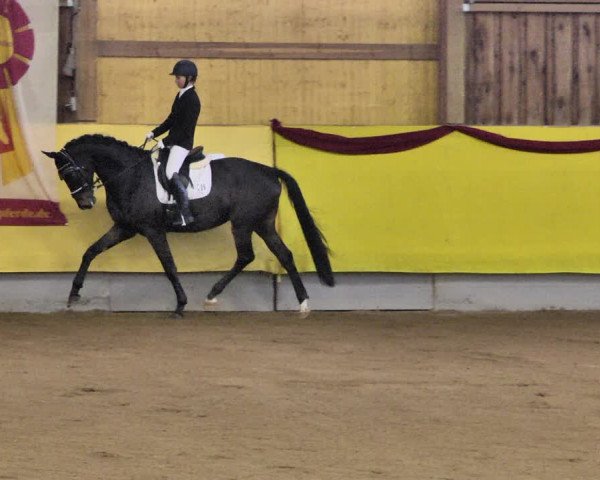 Reitturnier Ellwangen-Röhlingen 2019