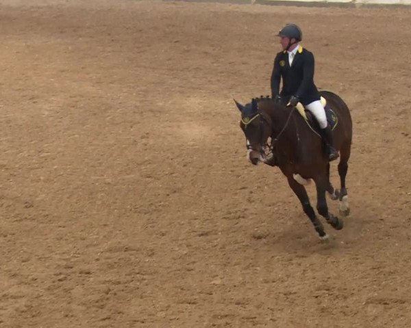 Reitturnier Kreuth/Opf. 2019