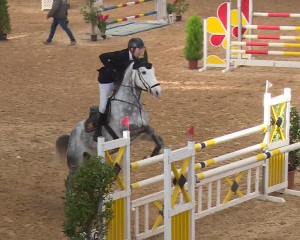 Reitturnier Kreuth/Opf. 2019