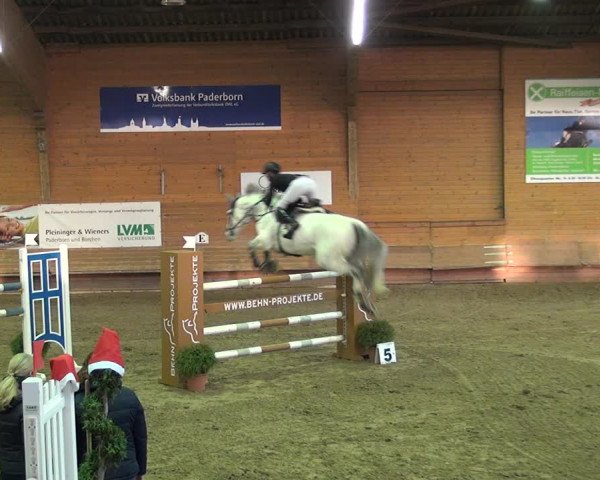 Reitturnier Paderborn 2019