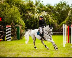 jumper Catia (German Sport Horse, 2007, from Cashmaker)