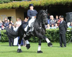 dressage horse Wilke C van de Wijdewormer (Friese, 1999, from Fabe 348)