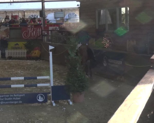 Reitturnier Essen-Stadtwald 2019
