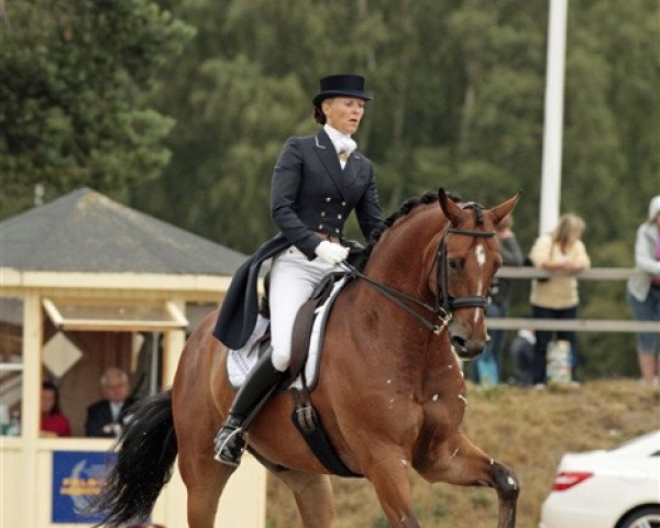dressage horse Overgaards Lawell (Danish Warmblood, 2002, from Weltjunge)
