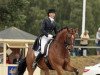 dressage horse Overgaards Lawell (Danish Warmblood, 2002, from Weltjunge)