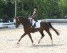 dressage horse Fiderbelle (Rhinelander, 2004, from Fidermark)