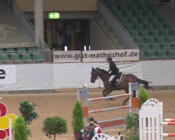 Reitturnier Kreuth/Opf. 2019