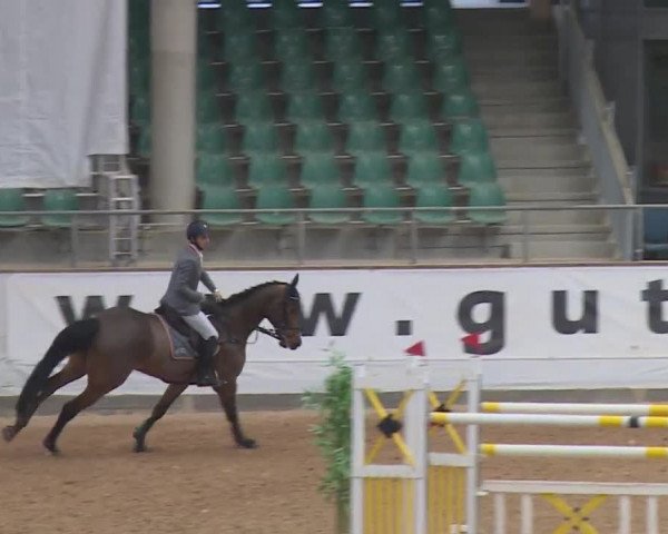 Reitturnier Kreuth/Opf. 2019