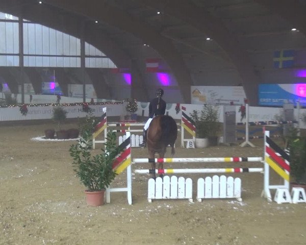 Reitturnier Essen-Stadtwald 2019