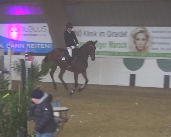 Reitturnier Essen-Stadtwald 2019