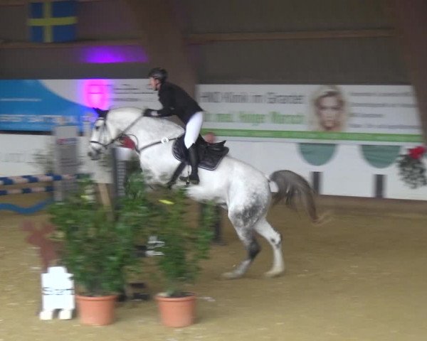 Reitturnier Essen-Stadtwald 2019
