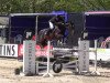 jumper For Victory (Hanoverian, 2001, from Fly High)