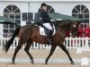 dressage horse Rolando M (Hanoverian, 2007, from Rubinero 2)