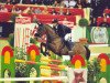 broodmare Horse Gym's Carefina (Holsteiner, 1998, from Caretino)