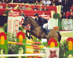 Zuchtstute Horse Gym's Carefina (Holsteiner, 1998, von Caretino)