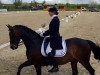 dressage horse Winter's Fee (Hessian Warmblood, 1998, from Winter)