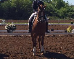 broodmare Luna (Hanoverian, 2002, from Londonderry)