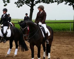 dressage horse Florian (Westphalian, 2008, from Florubin)